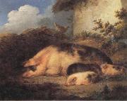 George Morland A Sow and Her Piglets oil painting on canvas